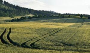 factors of production economics