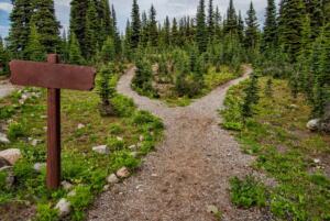 what is an example of opportunity cost